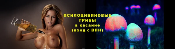 сатива Алзамай