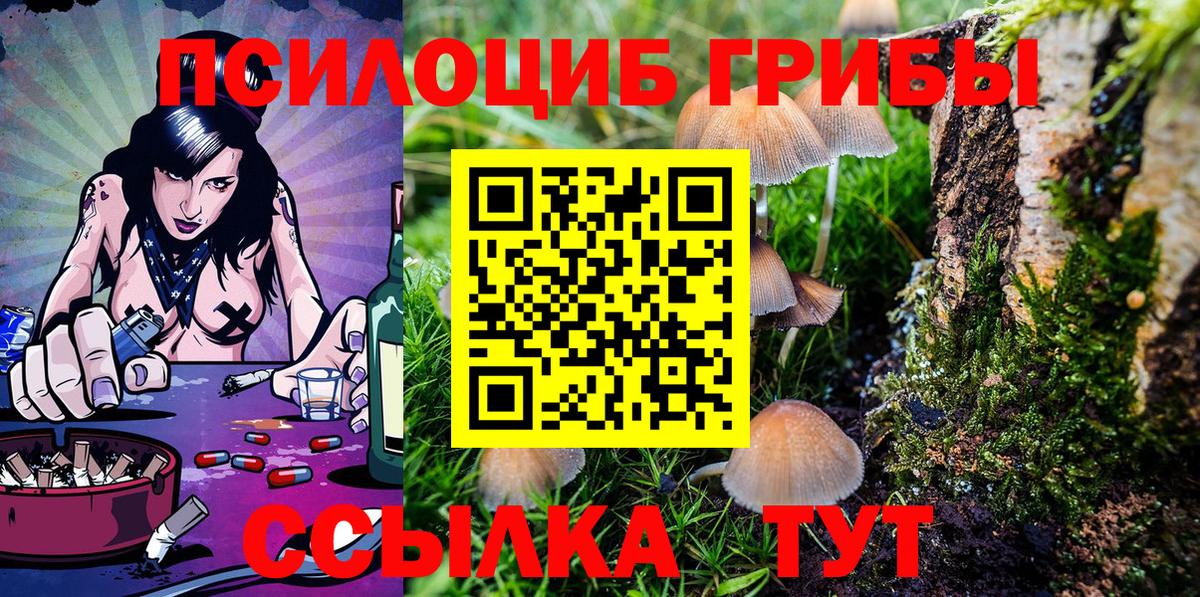 Галлюциногенные грибы GOLDEN TEACHER  Вход с VPN  Шатура  Галлюциногенные грибы Psilocybe 